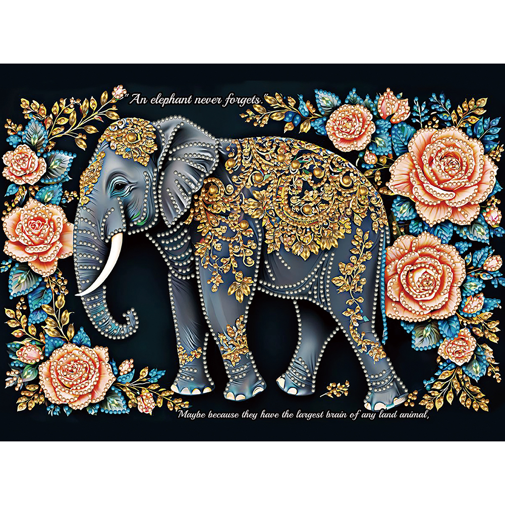 Elephant 30*40cm(canvas) special shaped drill diamond painting