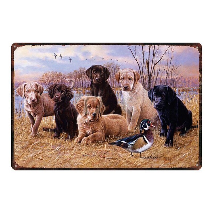 Dogs - Vintage Tin Signs/Wooden Signs - 7.9x11.8in & 11.8x15.7in