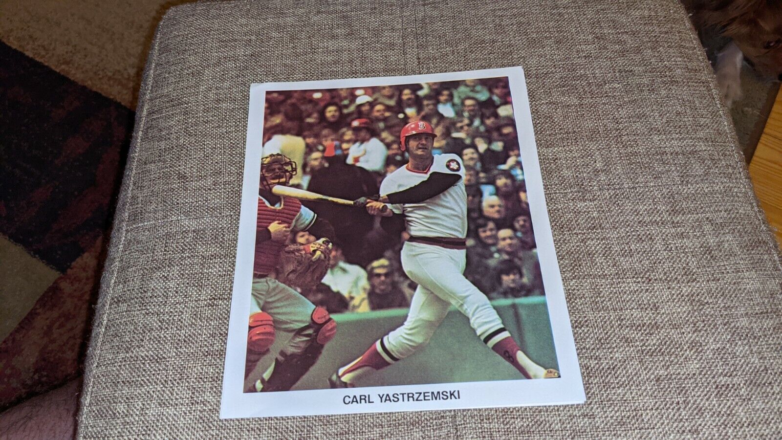 Carl Yastrzemski Boston Red Sox 1976 Team Issued 7 x 8 1/2