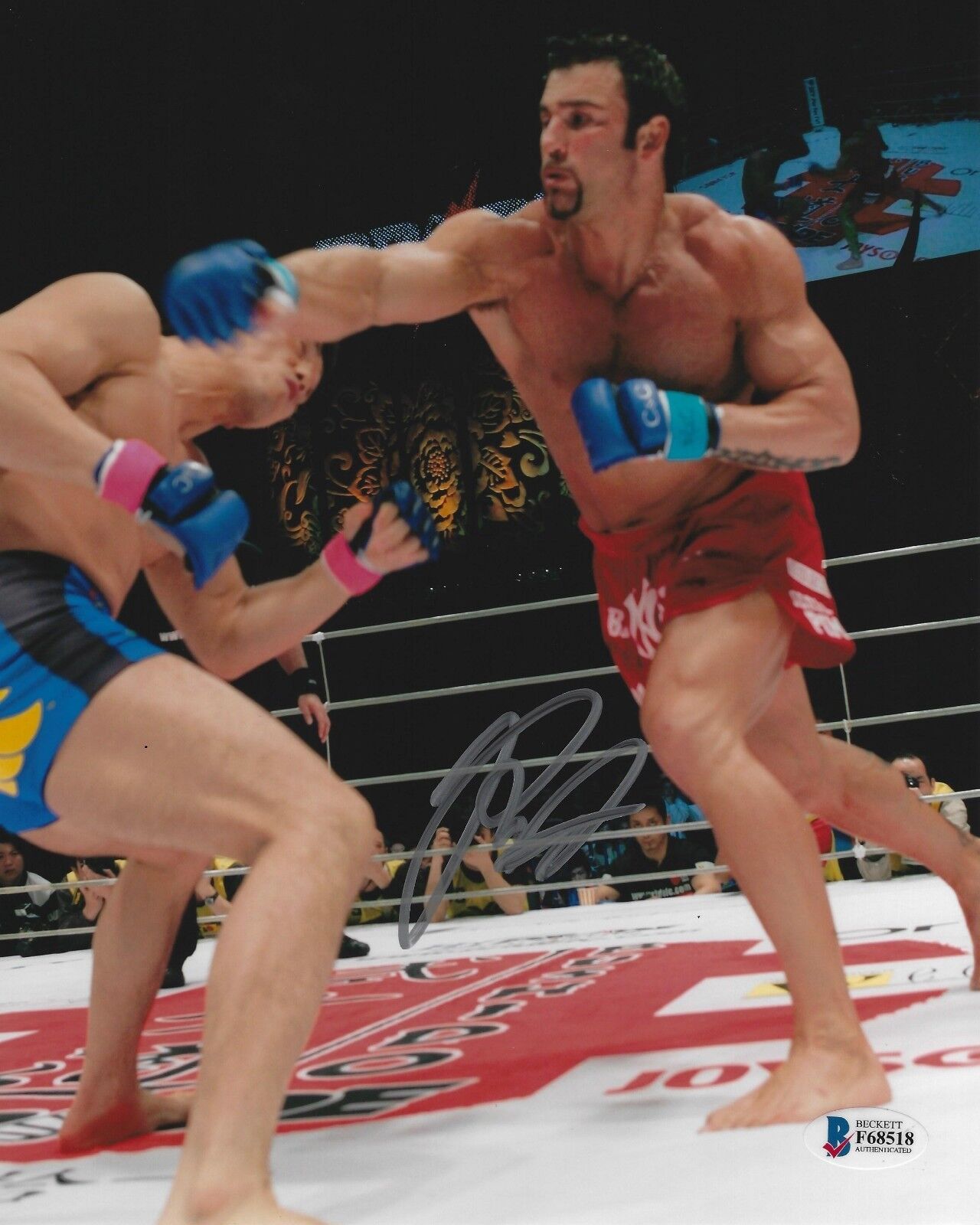 Phil Baroni Signed 8x10 Photo Poster painting BAS Beckett COA UFC Pride FC Picture Autograph 518