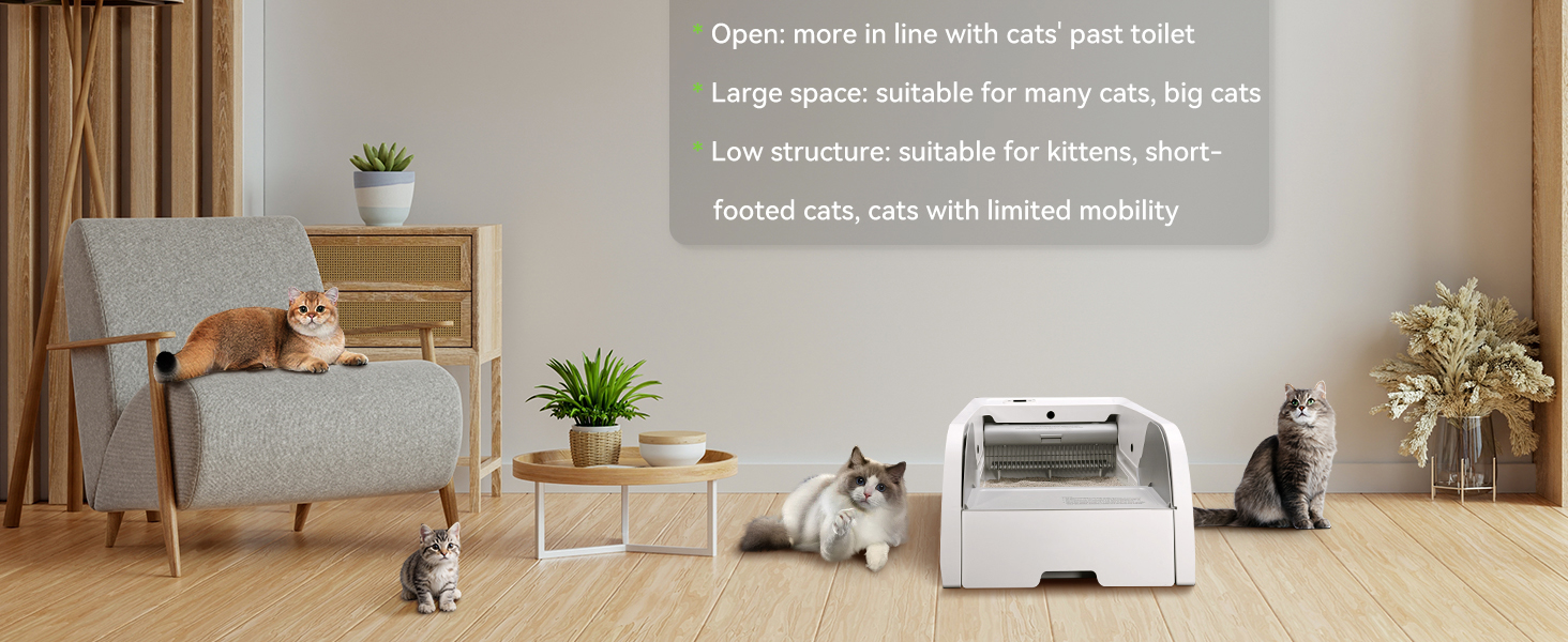 Self Cleaning Cat Litter Box