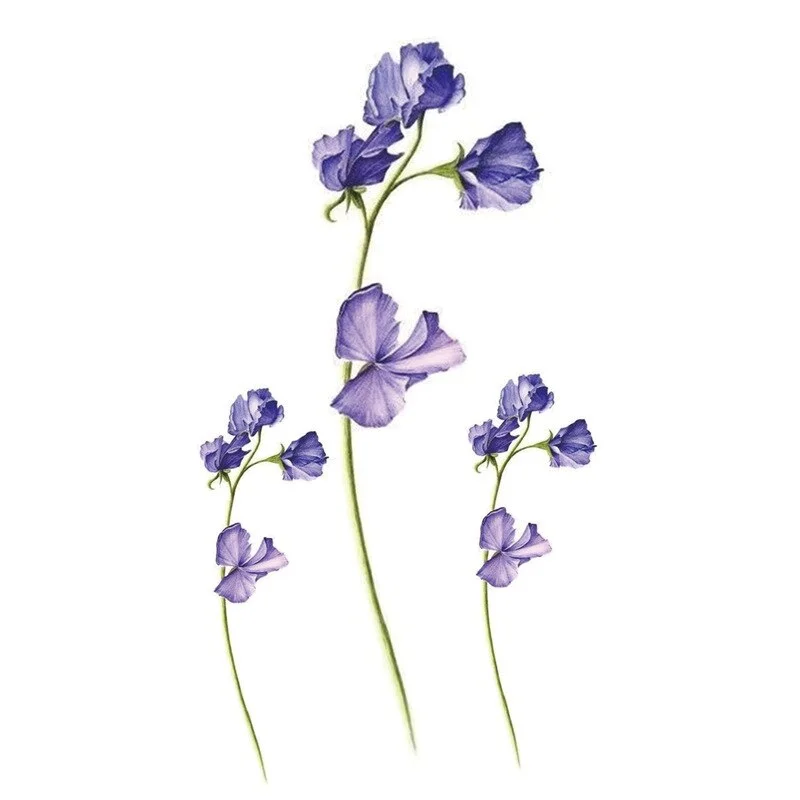 New Small Fresh Temporary Tattoo Men and Women Waterproof Feather Body Art Fake Tattoo Arm Finger Dreamcatcher Tattoo Stickers