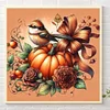 Diamond Painting -DIY Round Partial AB Drill Pumpkin Bird（35x35cm）