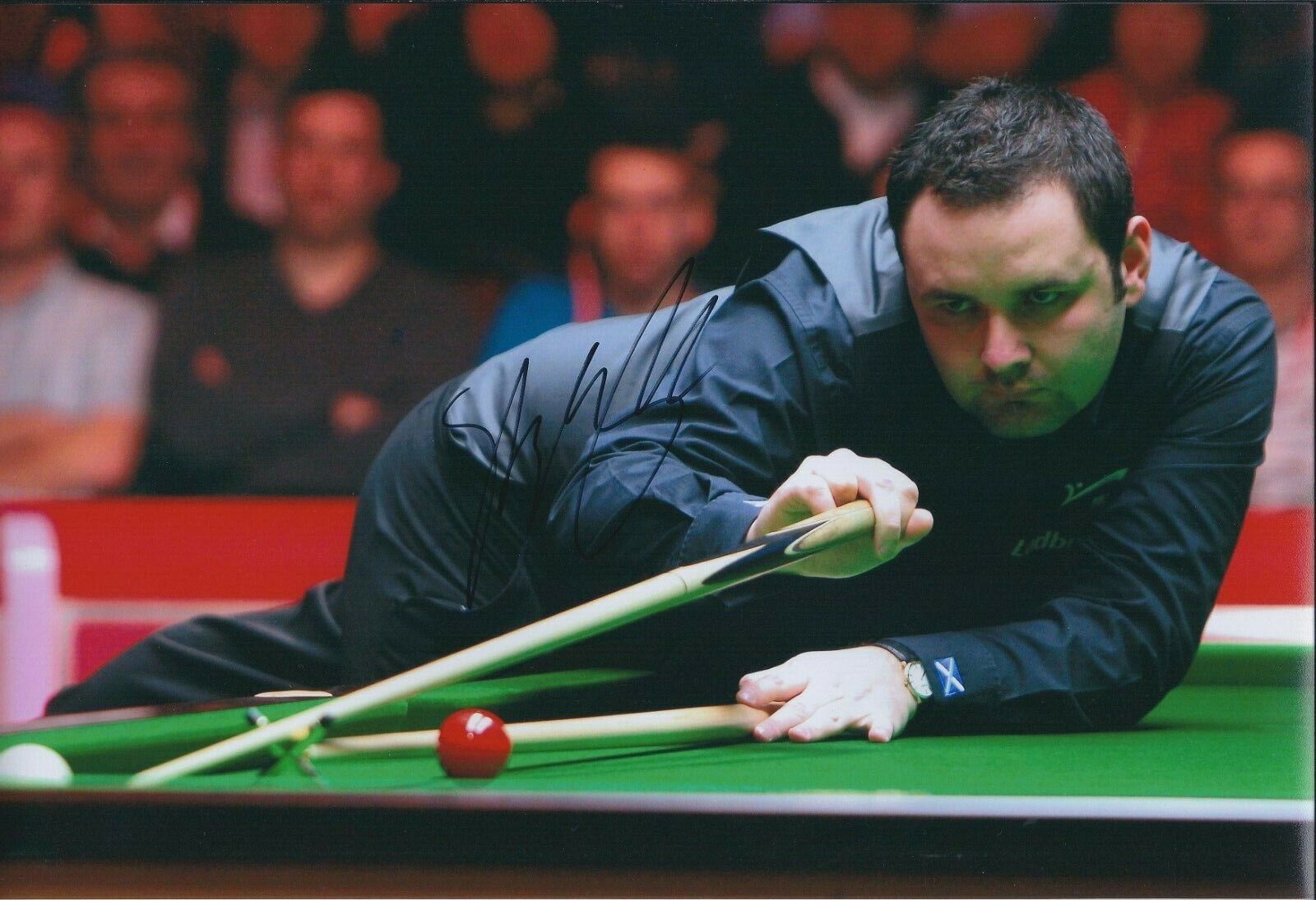 Stephen MAGUIRE SIGNED 12x8 Photo Poster painting AFTAL COA Snooker UK Champion Authentic