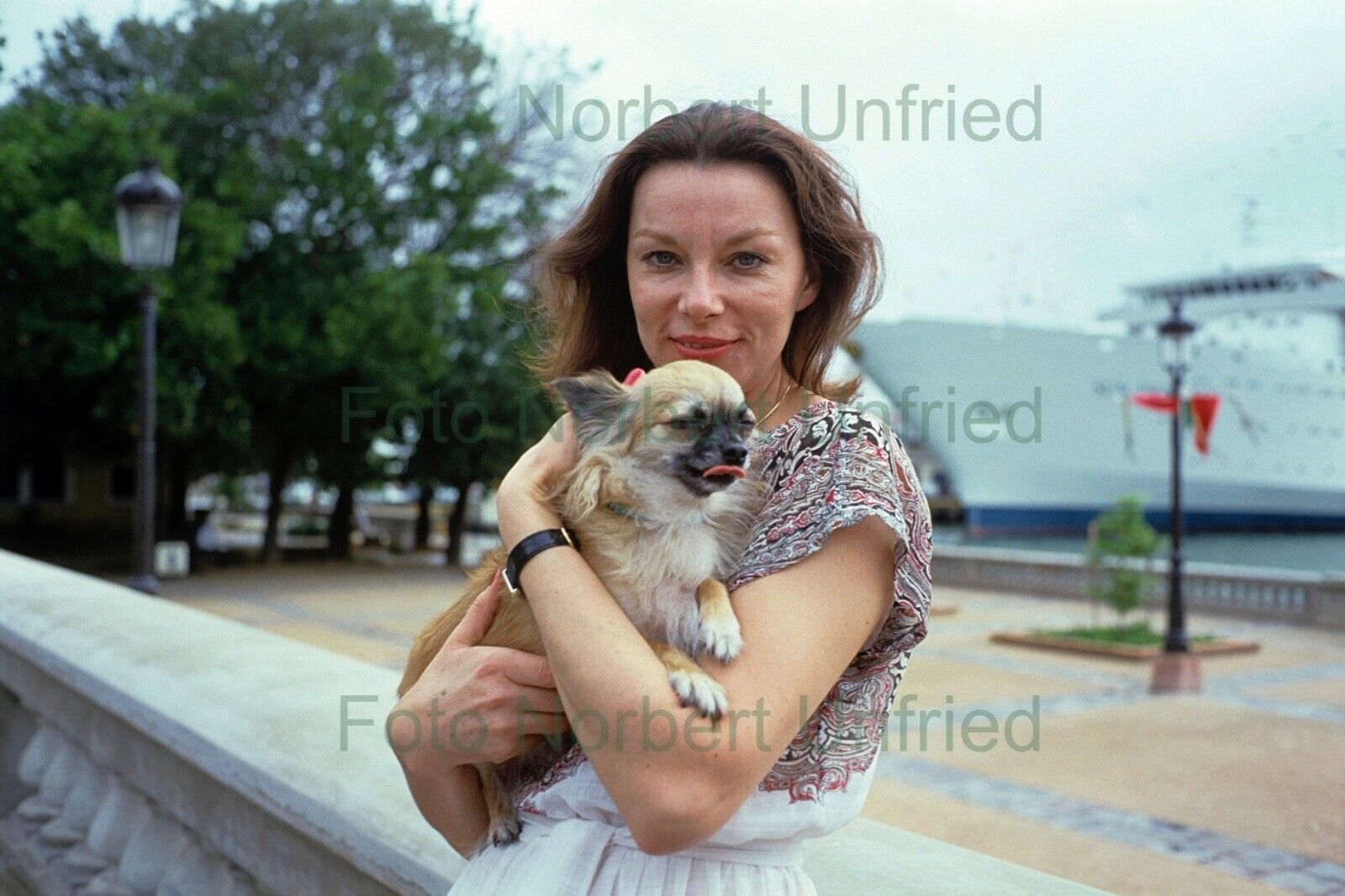 Evelyn Opela mit Hund - Foto 20 x 30 cm ohne Autogramm (Nr 2-2