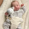 Babiesprincess Lifelike Reborn Baby Doll, Babiesprincess