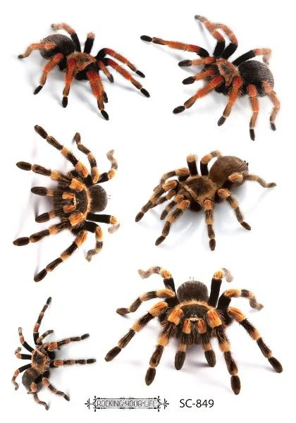 3D Spider Tattoo Stickers Temporary Tatoo Stickers For Halloween Fake Tatto Body Art Tatuajes Joke Tatouage Temporaire