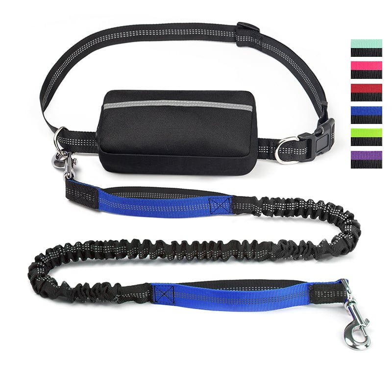 Hands Free Dog Leash
