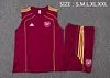 2025/2026 Arsenal Pre-Match Training Deep Dates Vest+Shorts Football1:1 Thai Quality
