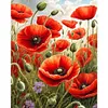 Champs de coquelicots - peinture diamant perceuse ronde - 40*50cm