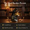 Resin Crow Skull Lamp Gothic Crow Night Light Handcrafted Retro Skull Lamp