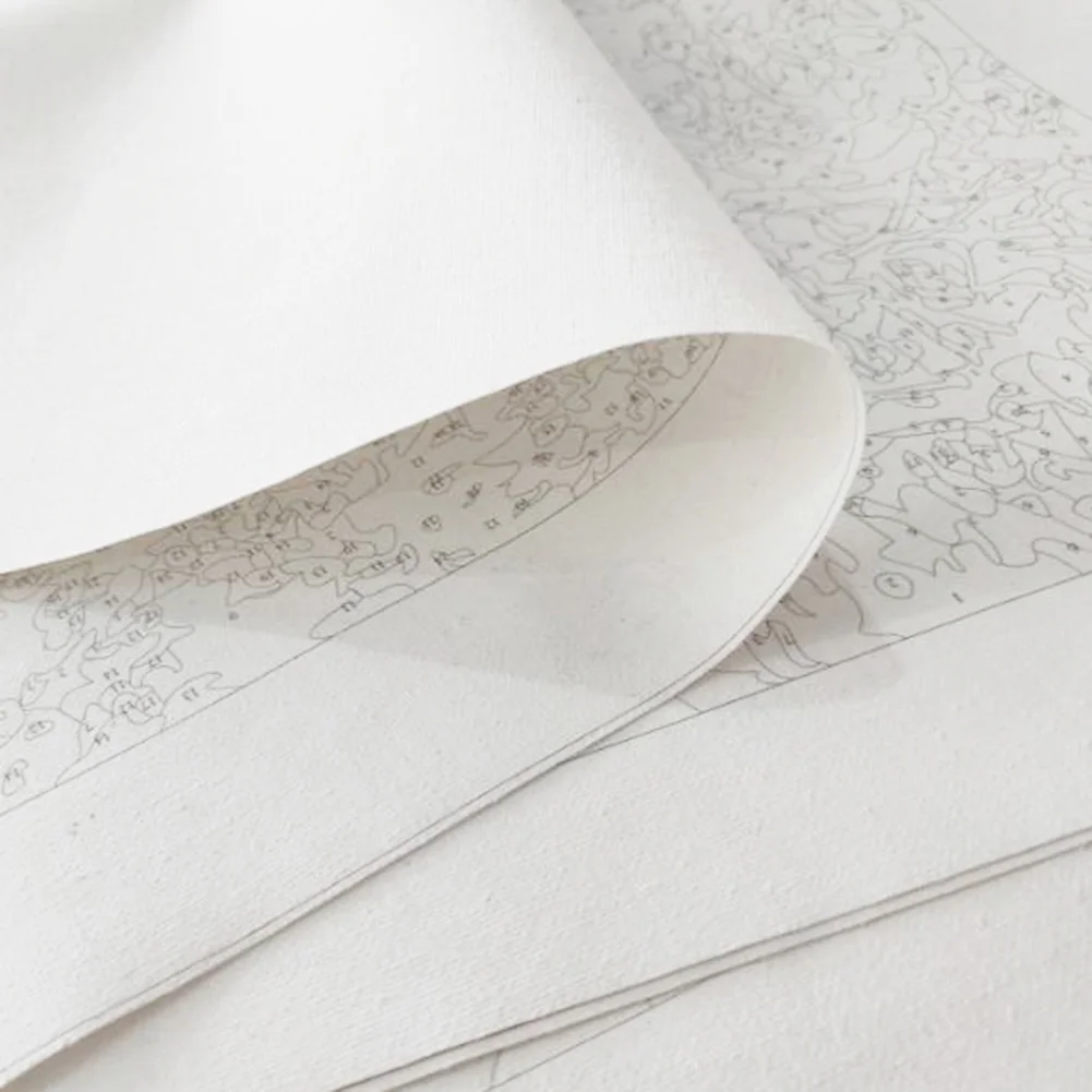 DIY Paint By Number 40*40cm - Cardinal