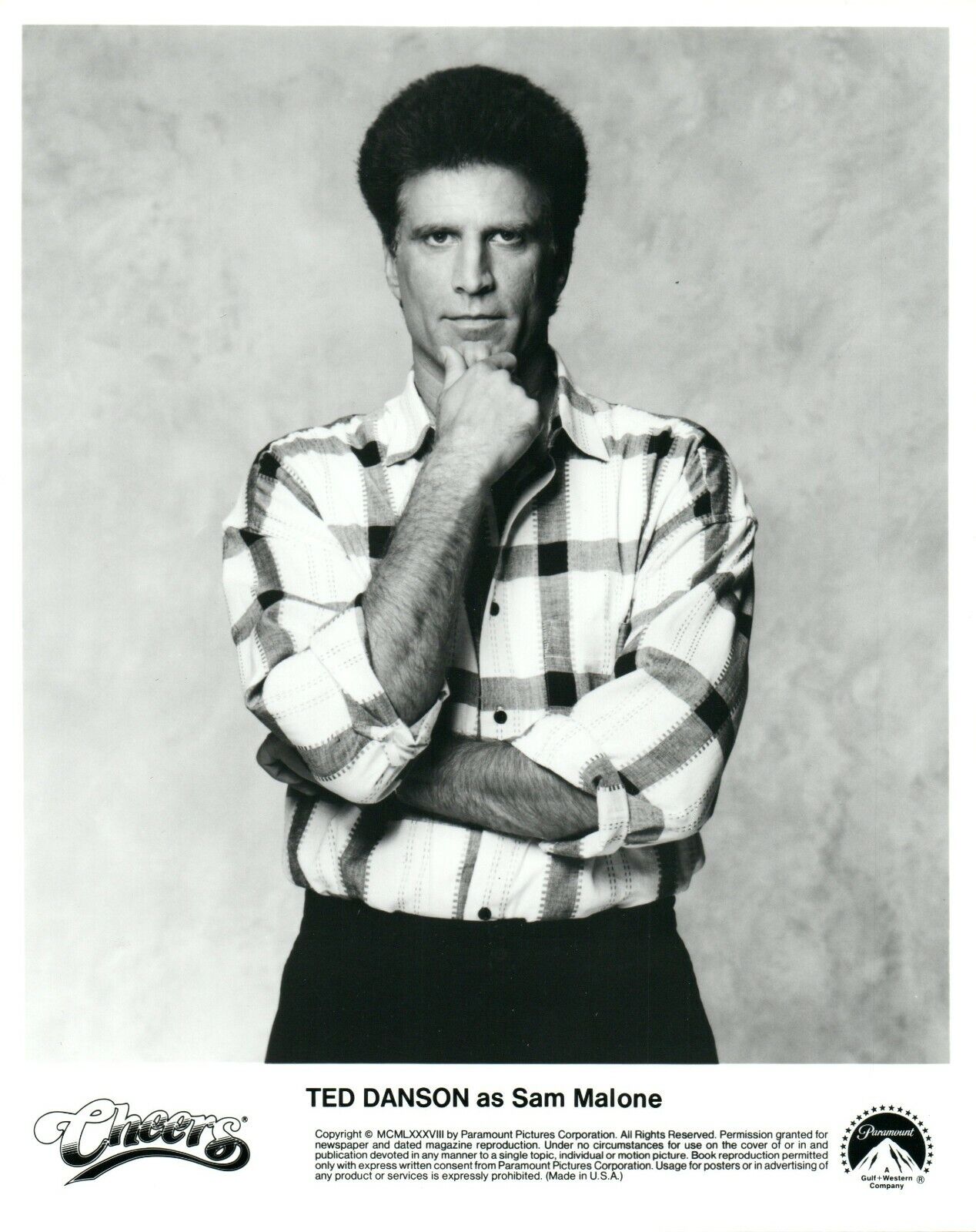 TED DANSON Actor 8x10 Promo Press Photo Poster painting CHEERS TV Show 1988