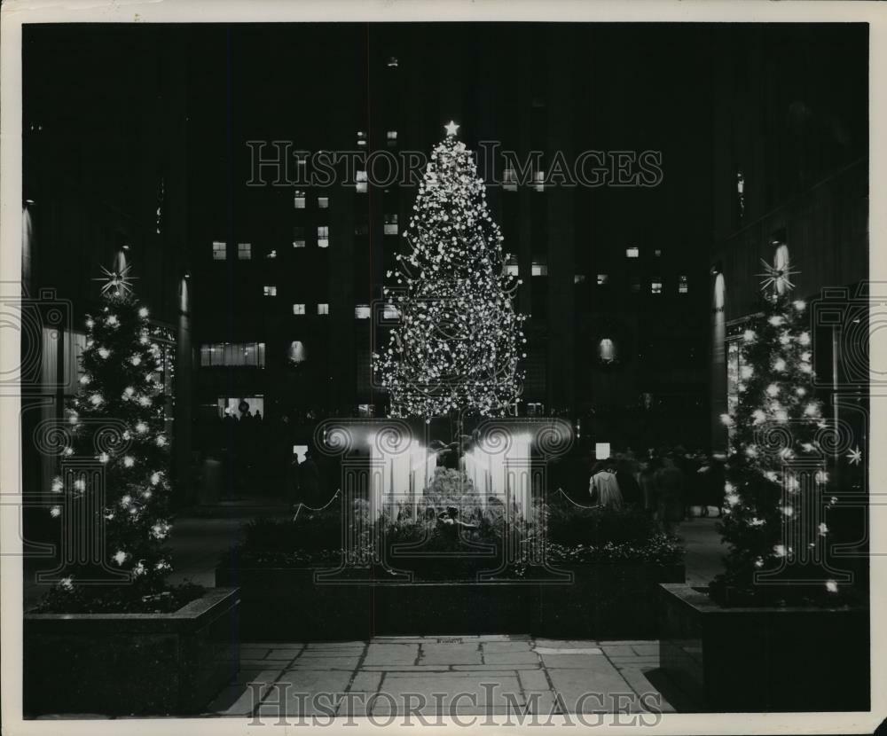 Press Photo Poster painting New York Christmas trees at Rockefeller Plaza - nera12618