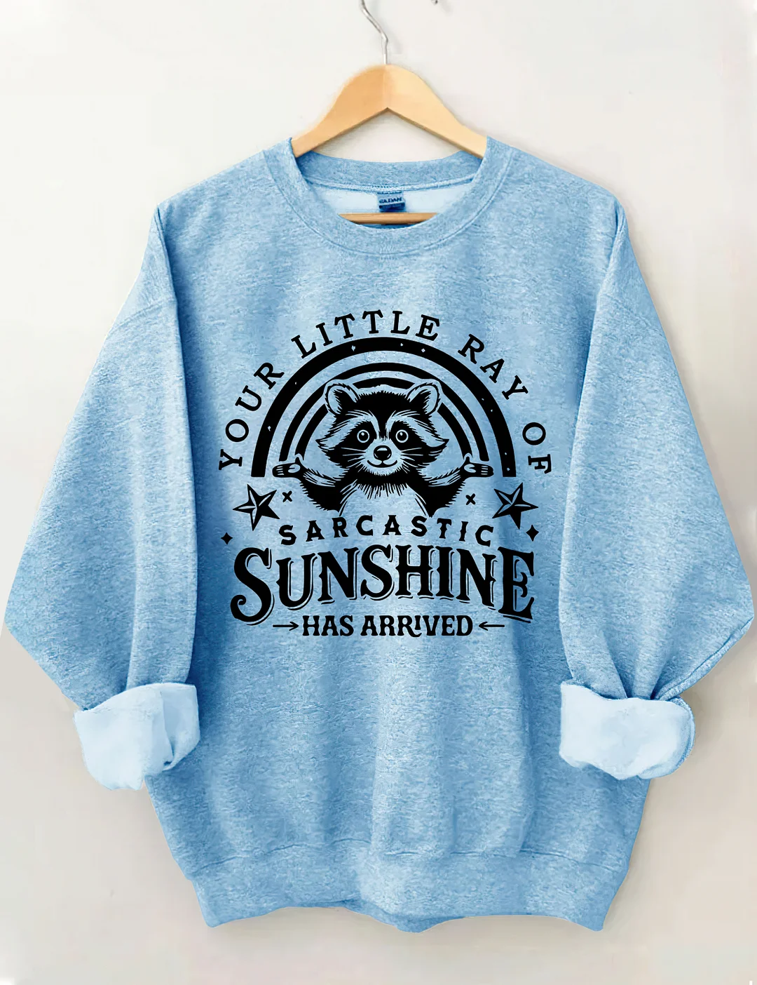 Your little Ray Of Sarcastic Sunshine Has arrived Sweatshirt