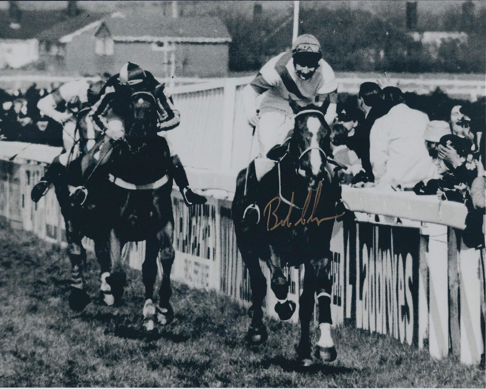 BOB CHAMPION Grand National SIGNED Autograph 10x8 Photo Poster painting AFTAL COA ALDANITI