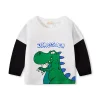Kid Baby Boy Dinosaur Long-sleeved Round Neck Shirts