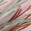 Pampa Grass Reed Leaf Autumn Vibe Artificial Plant