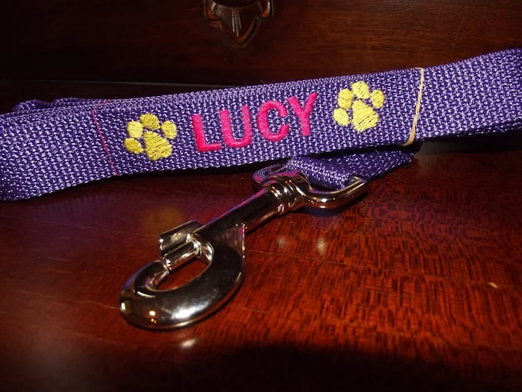 Personalized Dog Leash Puppy Leash Cat Leash