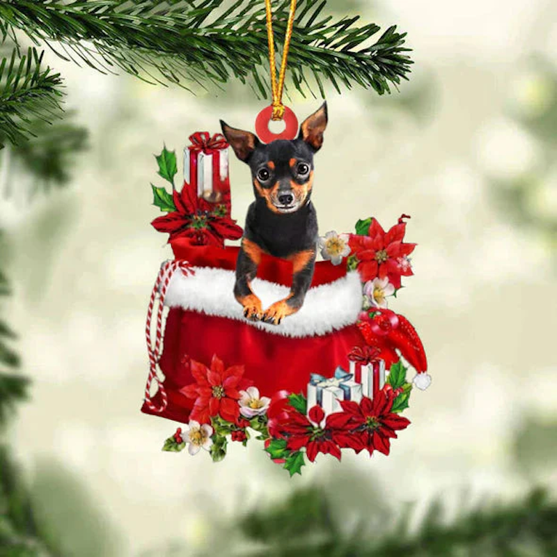 VigorDaily Miniature Pinchers In Gift Bag Christmas Ornament GB017