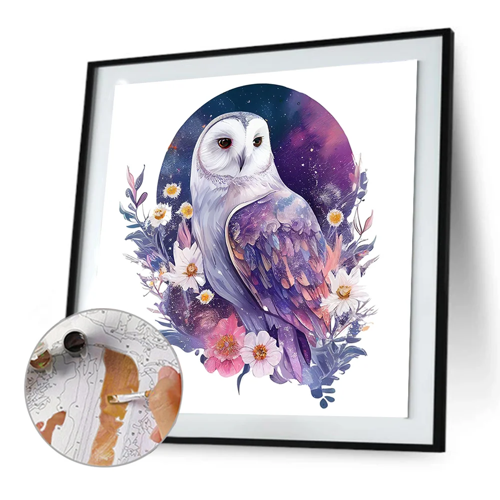 DIY Paint By Number 40*40cm - Owl