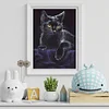 Porträt der schwarzen Katze - Rundbohrer Diamantmalerei - 30*40cm