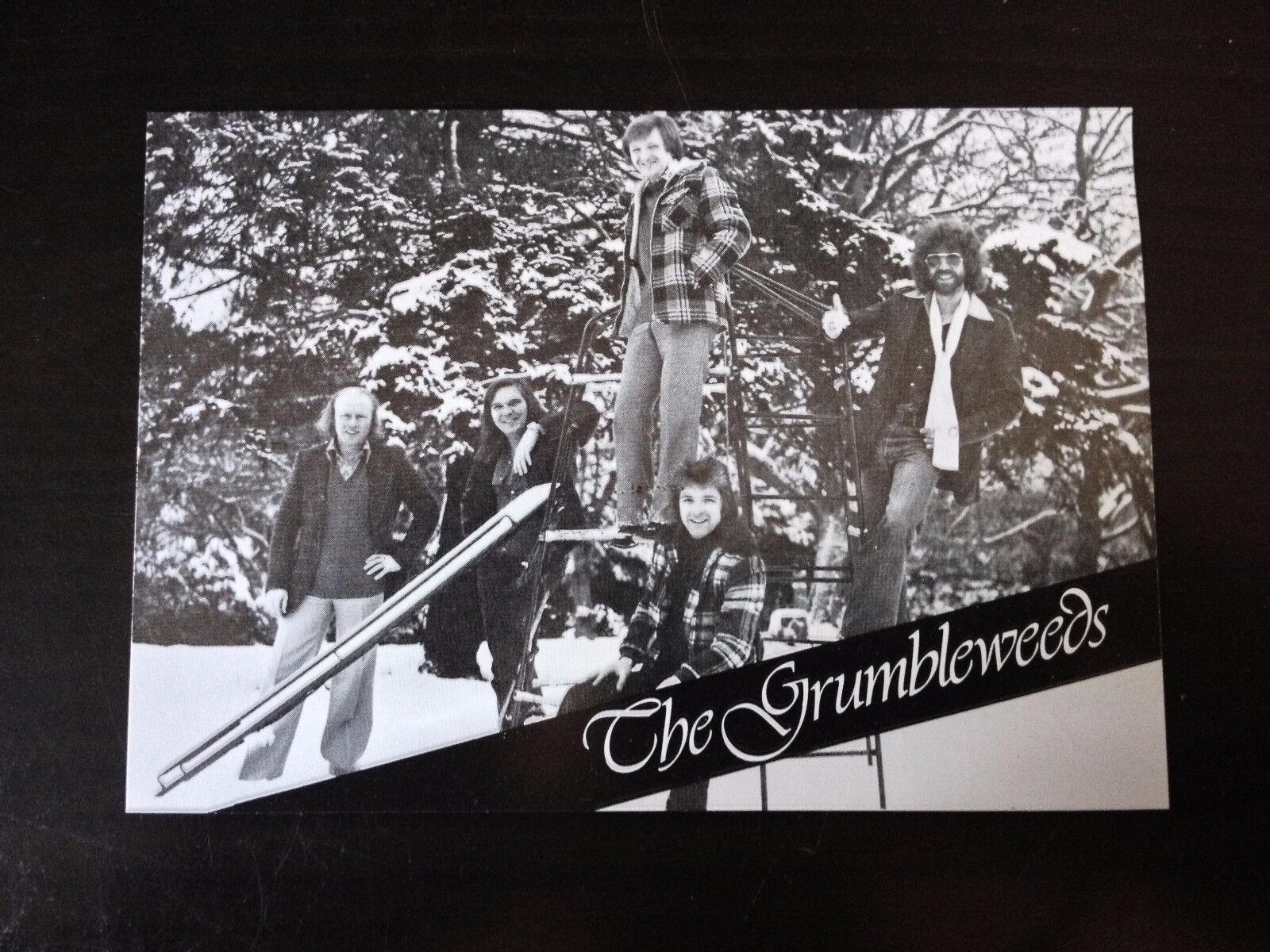 THE GRUMBLEWEEDS - TOP COMEDY BAND - EXCELLENT FULLY SIGNED PROMO Photo Poster painting