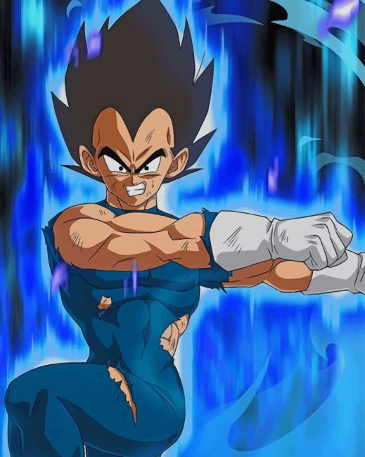 

Vegeta Dragon Ball – Paint By Numbers - 40*50CM, 501 Original