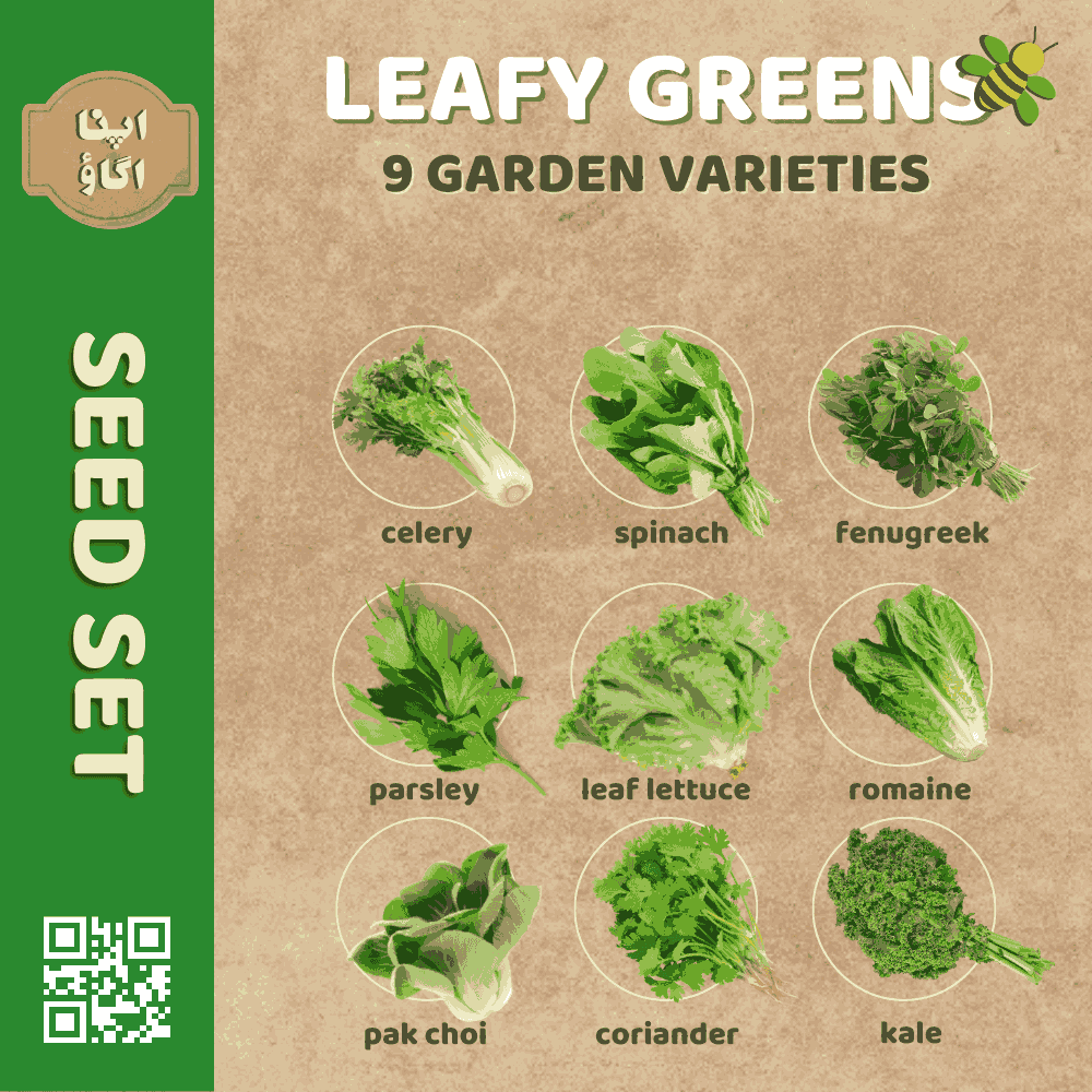 Leafy Greens Seeds Set &ndash; 9 Garden Varieties