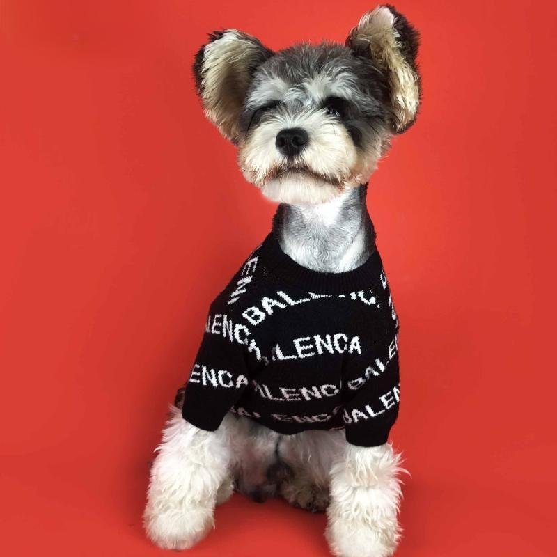 mini schnauzer clothes