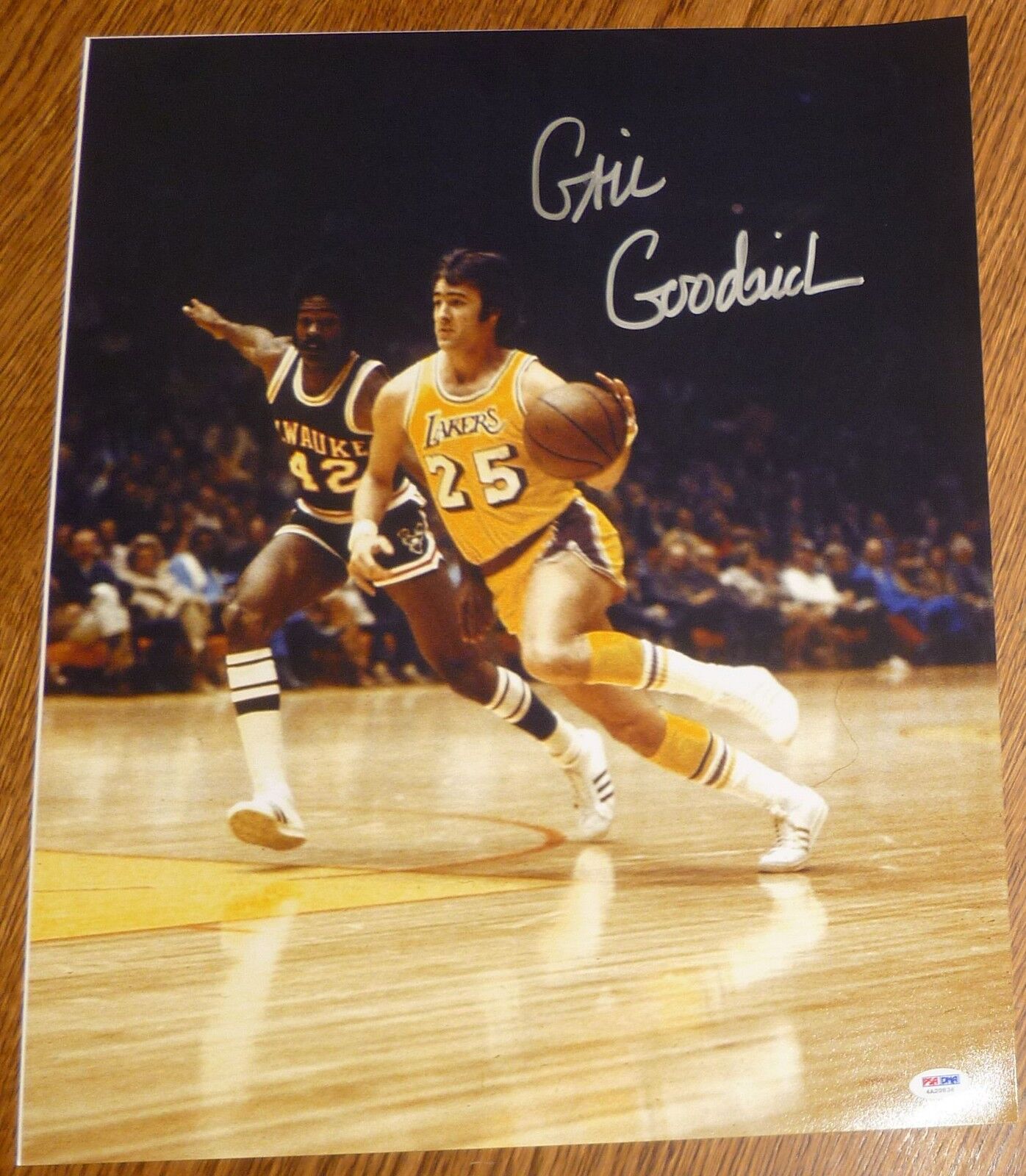 Gail Goodrich Signed Lakers 16x20 Photo Poster painting PSA/DNA COA Auto'd Autograph Picture HOF