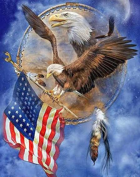 

American Eagle – Paint By Numbers - 40*50CM, 501 Original