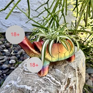 pornhint Pornhint Turtle Dick Planter 3D Printed Tortoise Penis Dickasaurus Rex Bachelorette Party Gift Funny Prank Garden Decor Sex Novelty Dildo Mature