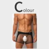 Men's Sexy Ultra-Thin Ice Silk Mesh-Panelled Transparent Boxer Briefs
