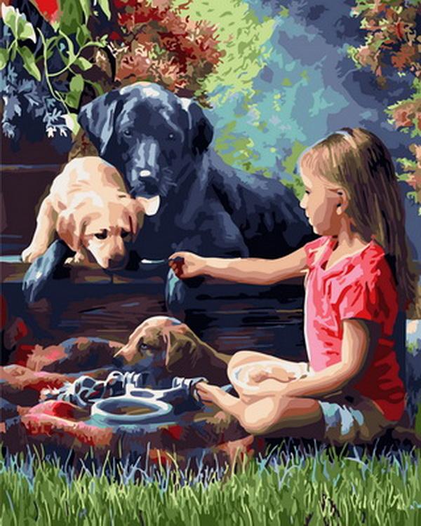 

Girl Feeding Dogs – People Paint By Numbers - 40*50CM, 501 Original