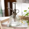 Nordic retro air pressure gardening household watering glass small watering can for watering flowers and disinfecting watering can