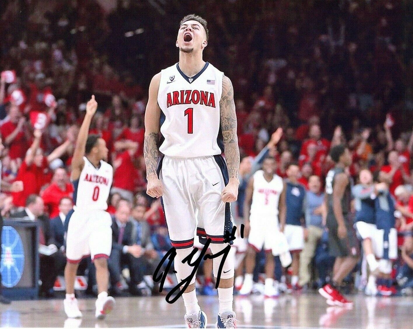 Gabe York Arizona Wildcats Autograph Signed basketball Photo Poster painting 8x10 NBA