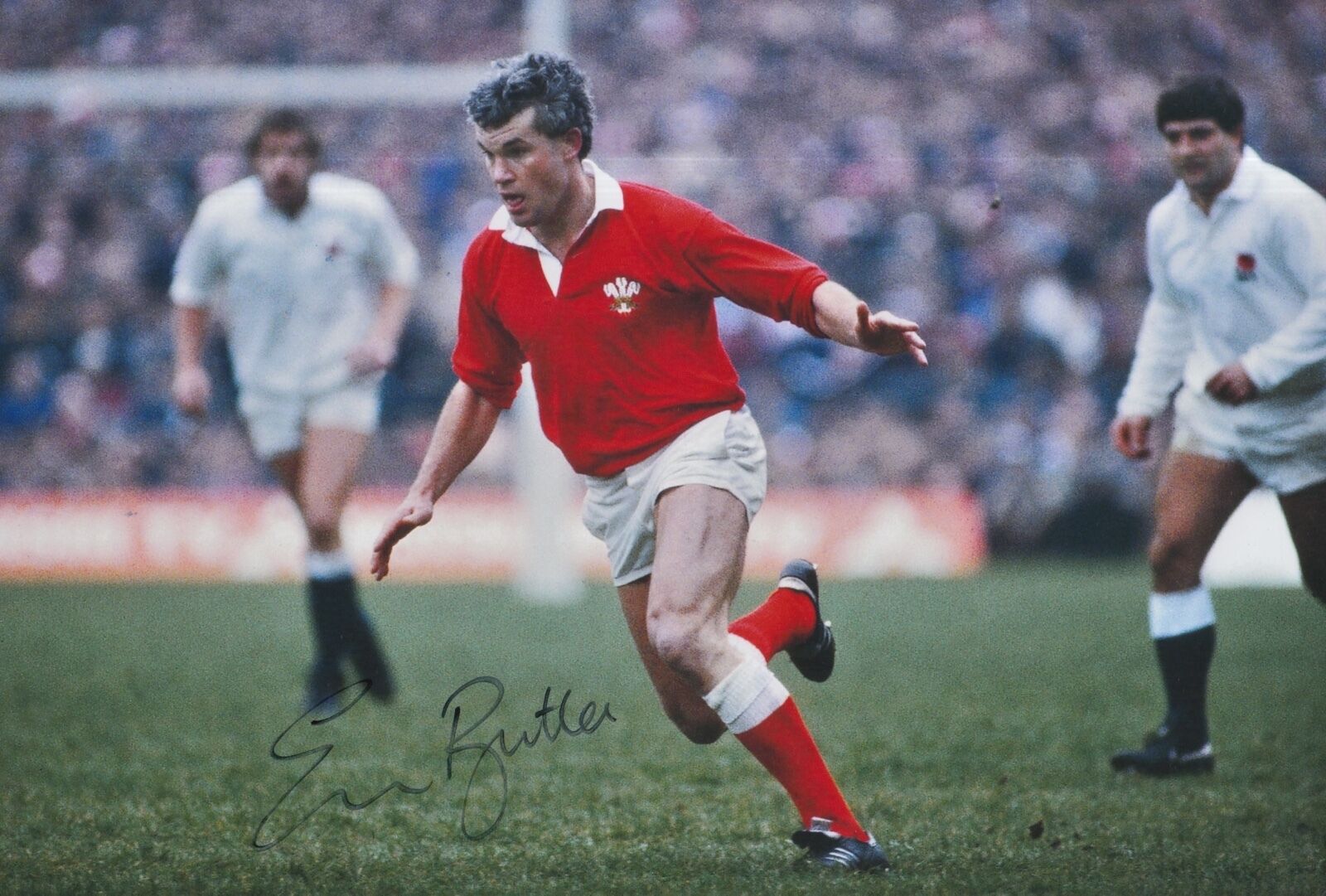 Eddie Butler Hand Signed Wales Rugby 12x8 Photo Poster painting 4.