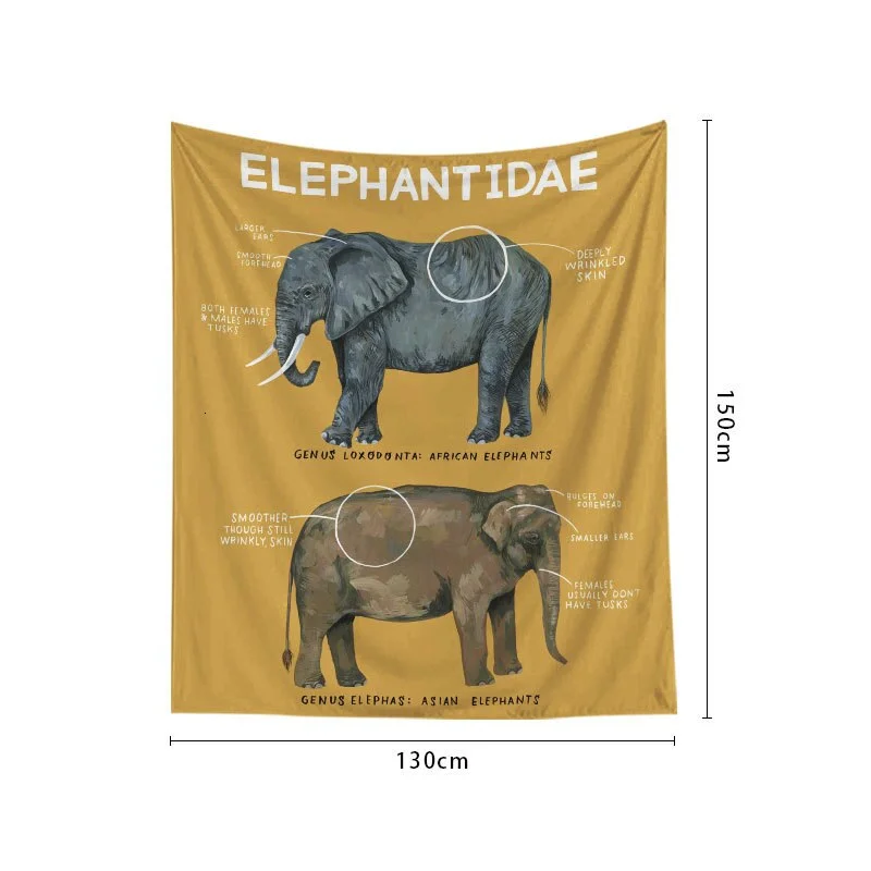 Wall Hanging Tapestry 3D Printed For Home Throw Rug Blanket Yoga Mat Carpet Home Decor Wall Cloth Mandala Hippie Decoration