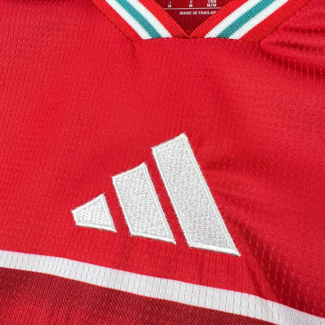 2026 Wales Home Footaball Shirt Thai Quality  