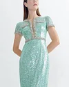 Embroidered Sequin Gown