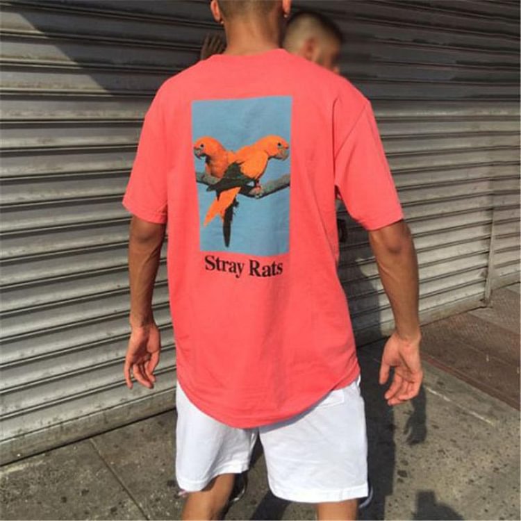 Parrot print fashion round neck t-shirt