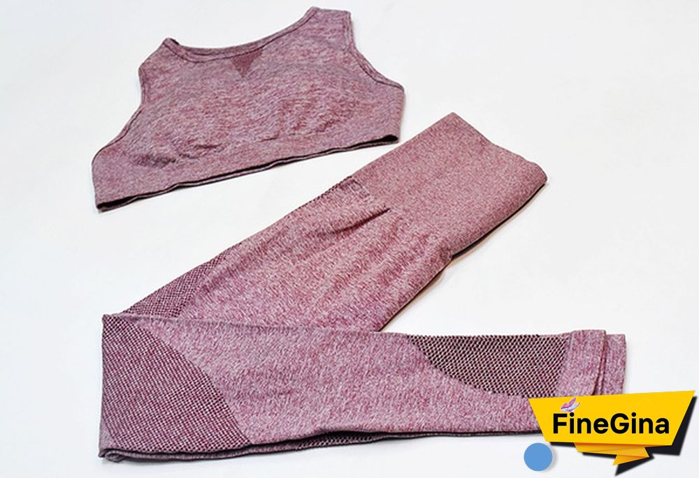 Women Workout 2 Pieces Set Sports Bra Seamless Legging Yoga Pant Gym Wear Bodybuilding Clothes