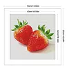 Strawberry-14CT Stamped Cross Stitch Egyptian Cotton 50*50cm/19.69*19.69in