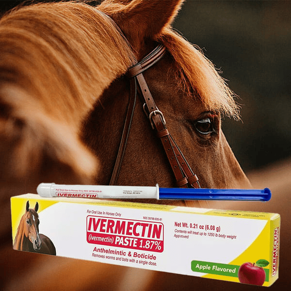 🔥Hot Sale 49% Off🔥 - Ivermectin Horse Paste 1.48% 6.08g Tubes 