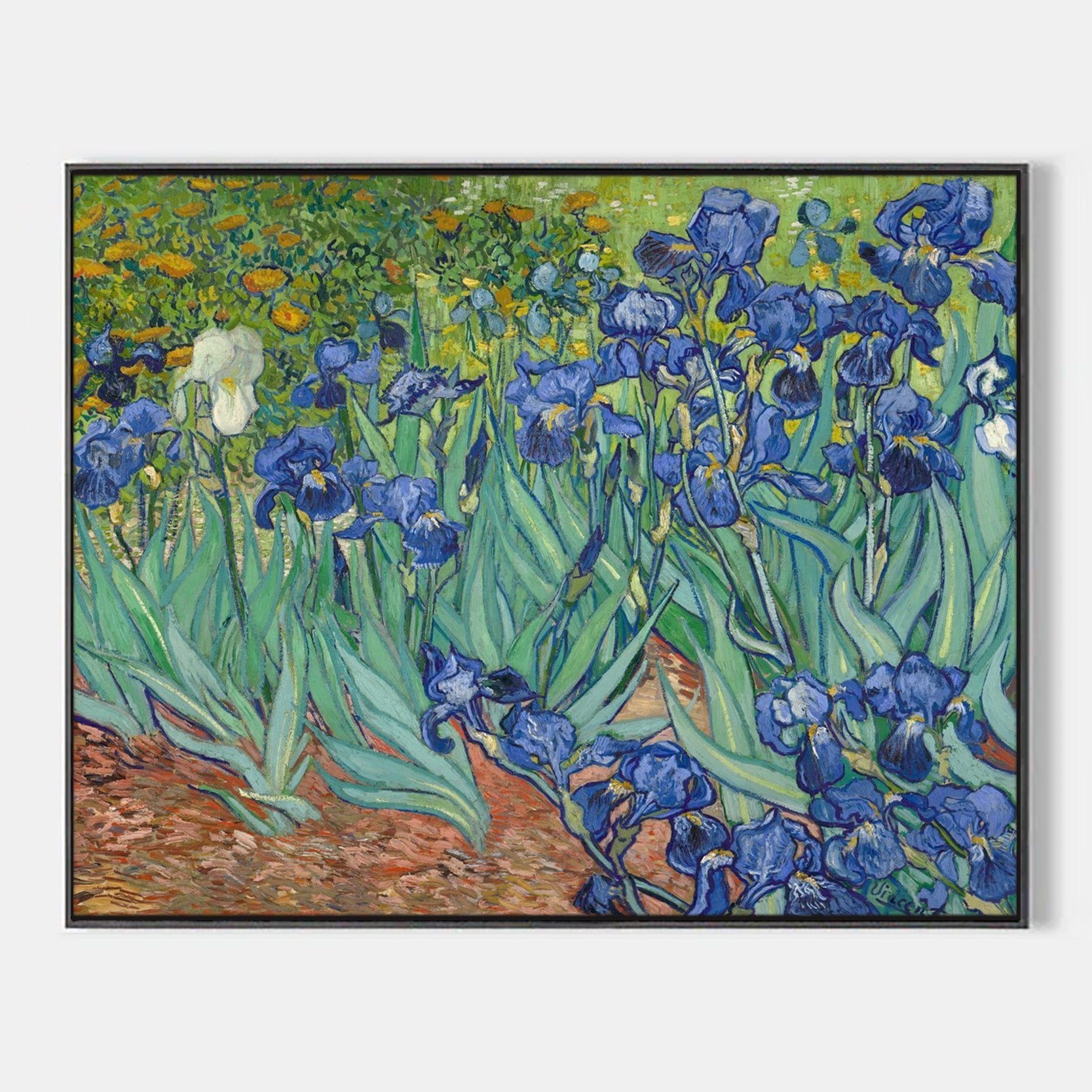 Arabelart Irises by Vincent van Gogh - Famous Art Reproduction