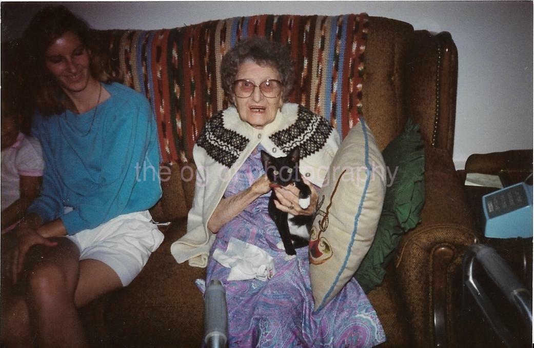 A Lady + Her Cat FOUND Photo Poster paintingGRAPH Color WOMAN Original Snapshot VINTAGE 07 18 E