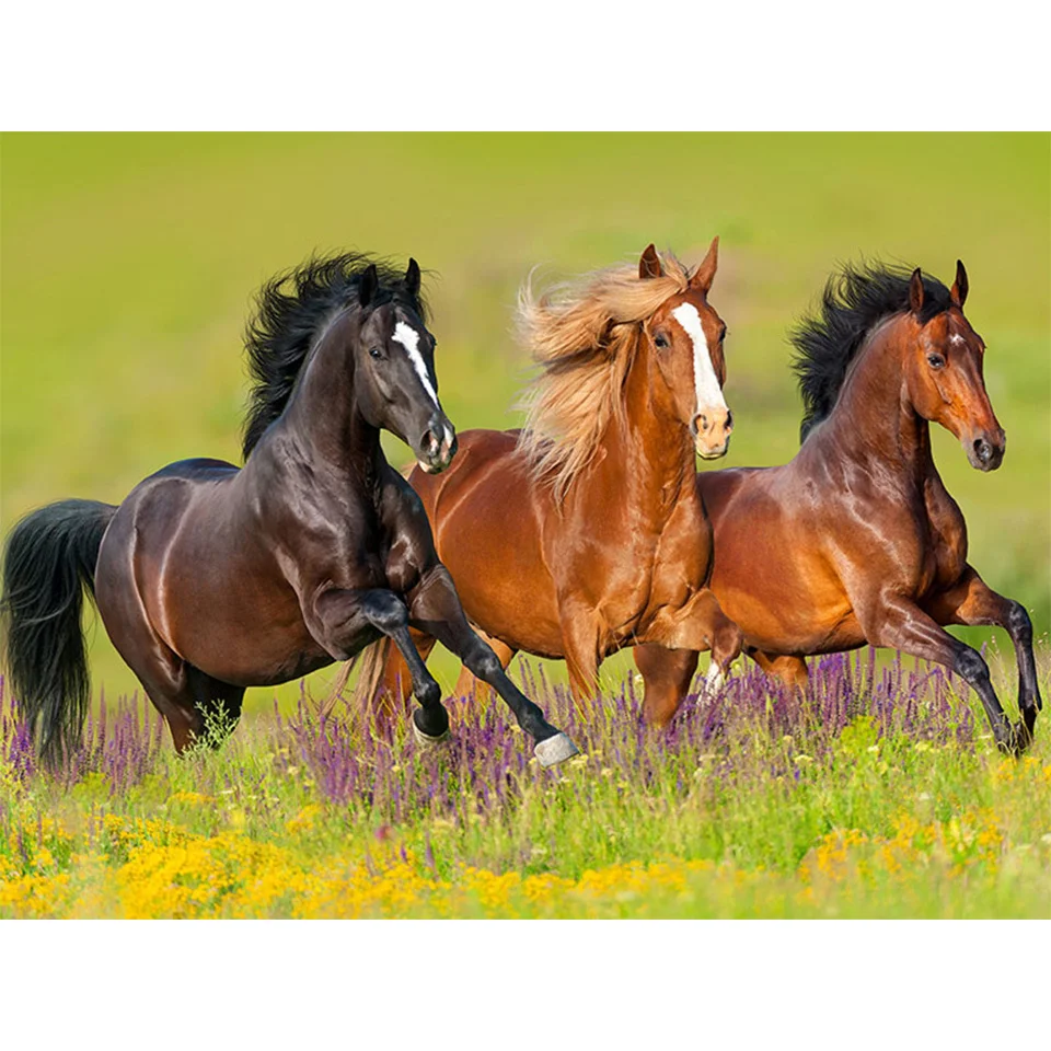 Diamond Painting - Full Round/Square Drill - Horse(30*40 - 50*60cm)