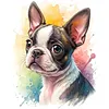 Boston Terrier Dog-11CT Stamped Cross Stitch 40*50cm/15.75*19.69in tapestrymarket