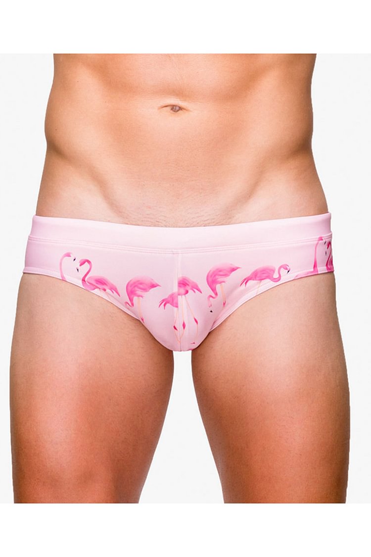 Men's Flamingo Print Triangle Beach Slim Briefs
